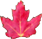 A Red Maple Logo